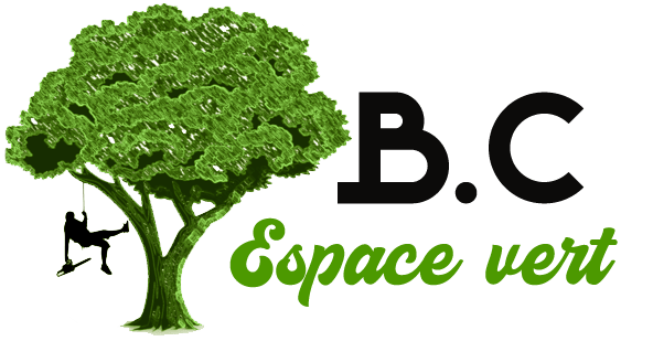 Archange Castagne Elagage 38
